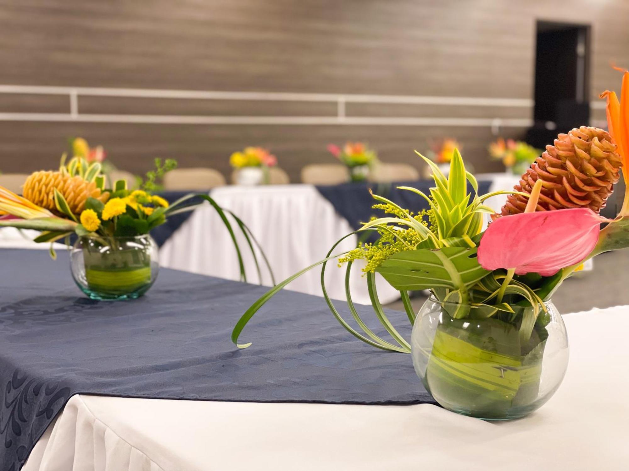 Hotel Punta Arena Spa Boutique Араука Екстер'єр фото